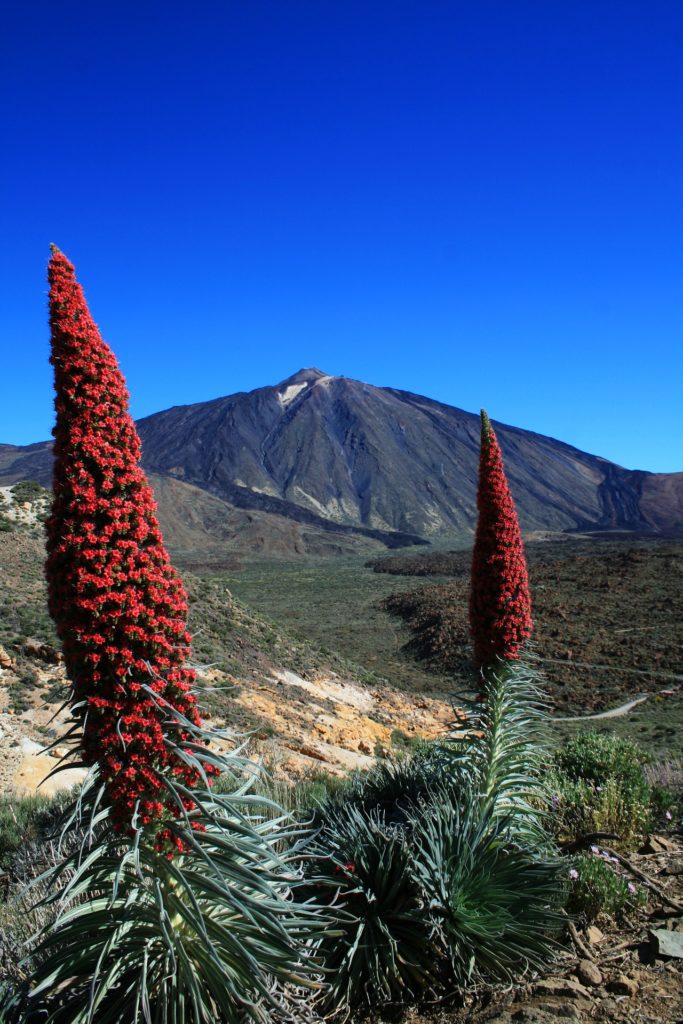 tenerife